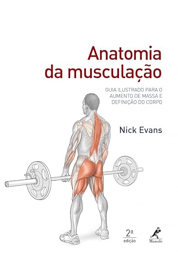 Anatomia da musculação